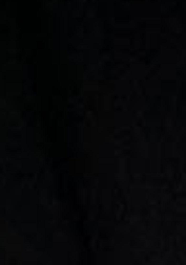 Black Embroidered Organza Saree Set