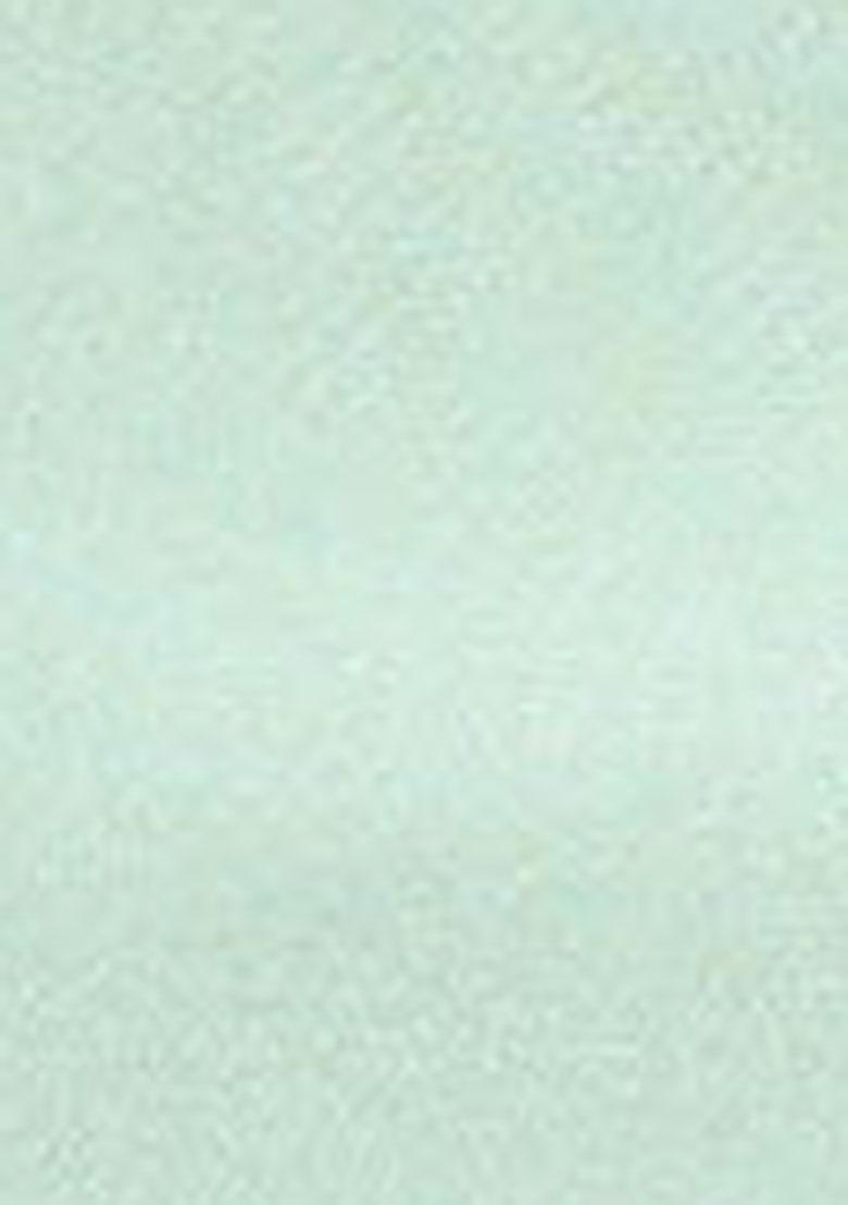 Sea Green Embroidered Organza Saree Set