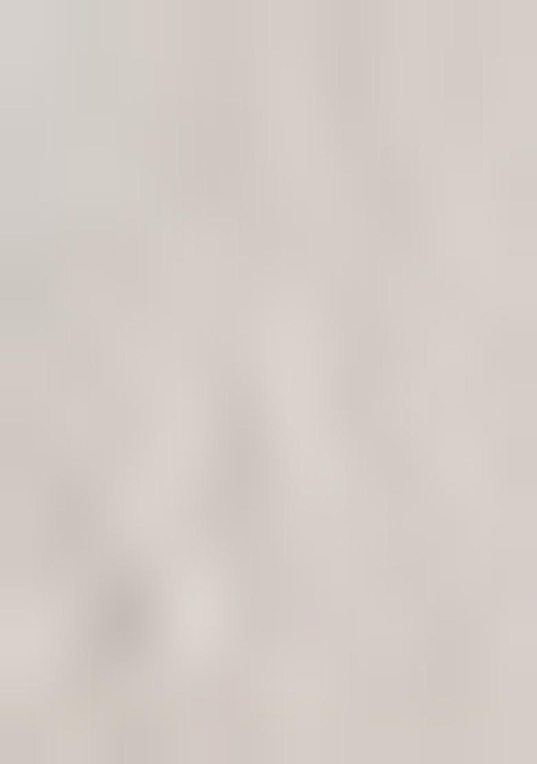 Cream Embroidered Chiffon Saree Set