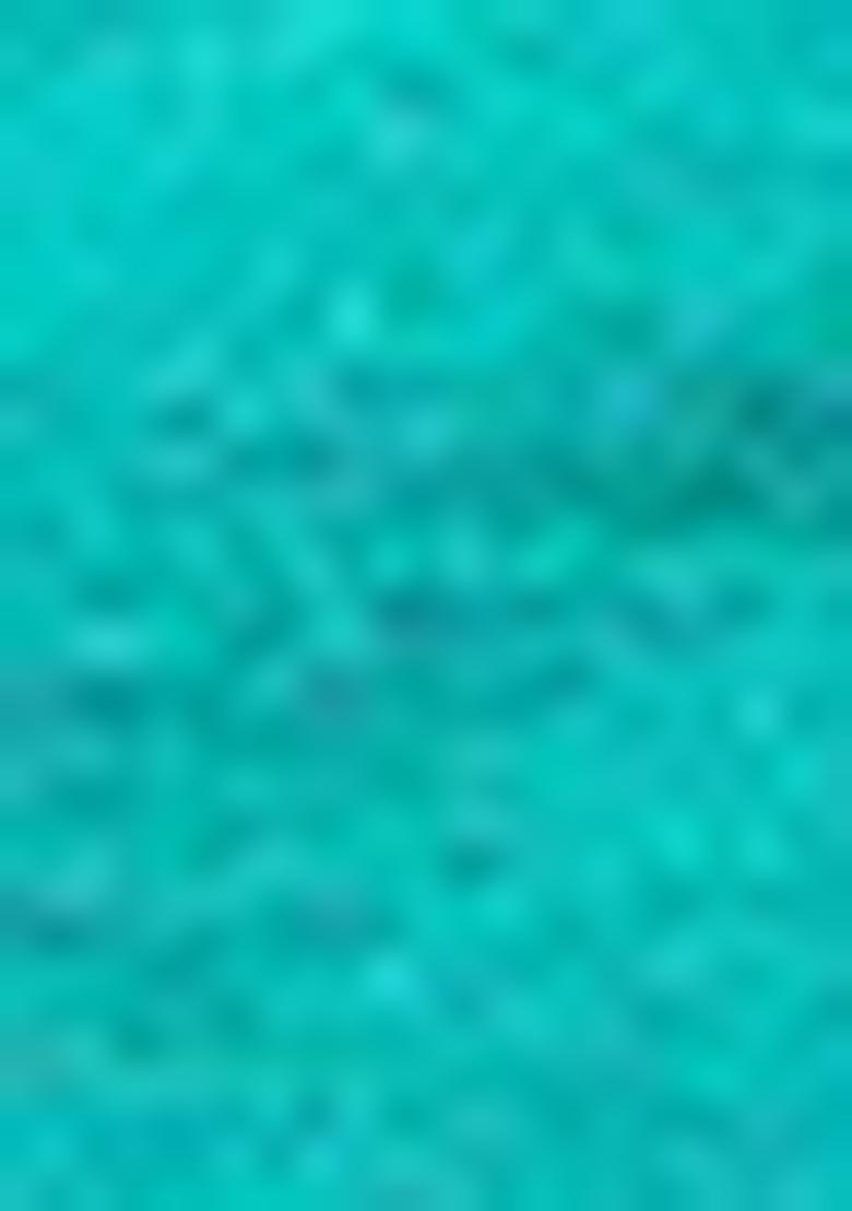 Pista Green Meenakari Silk Saree Set