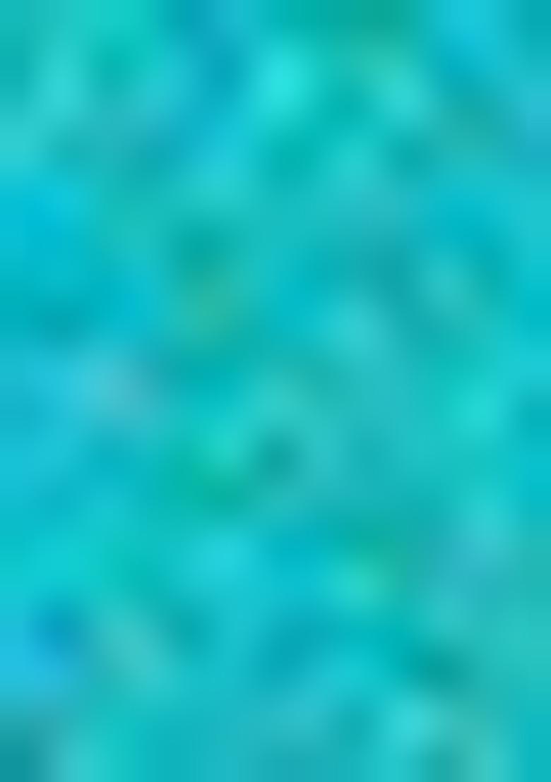 Rama Green Meenakari Silk Saree Set