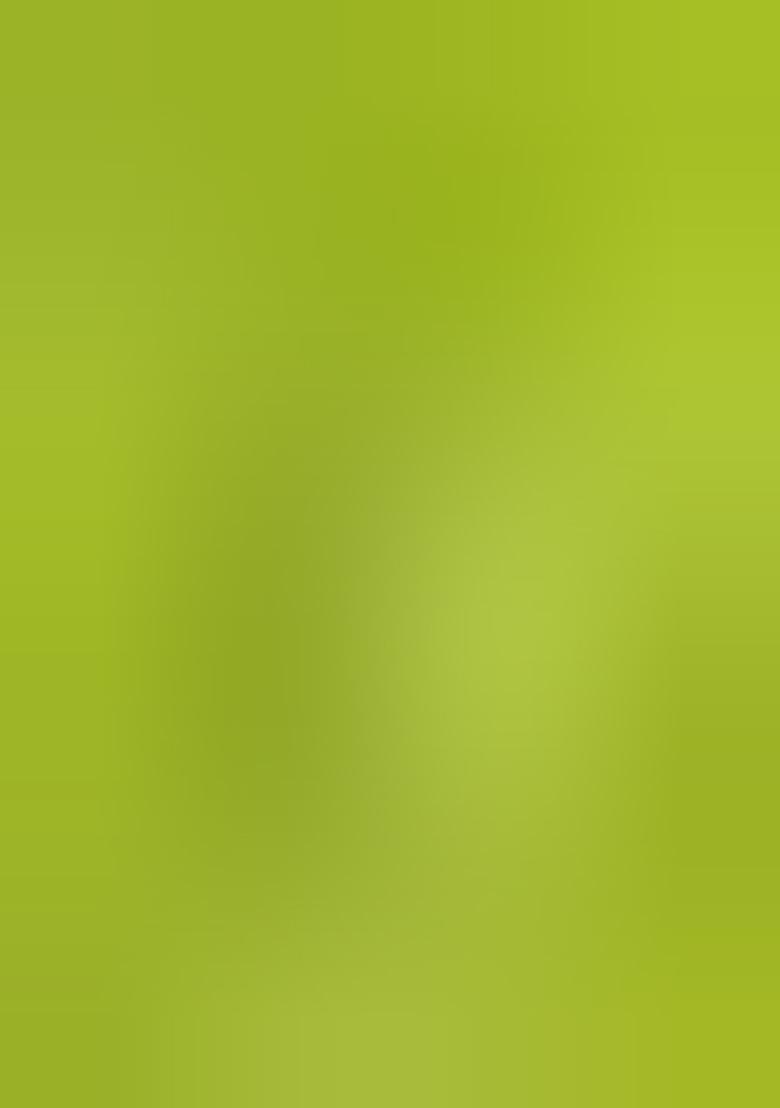 Pista Green Zari Silk Saree Set