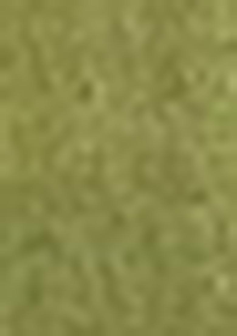 Dark Green Zari Tissue Silk Saree Set