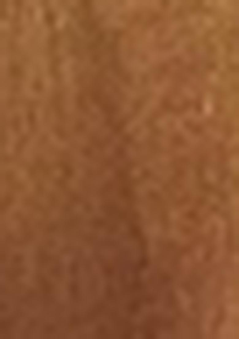 Dusty Zari Tissue Silk Saree Set