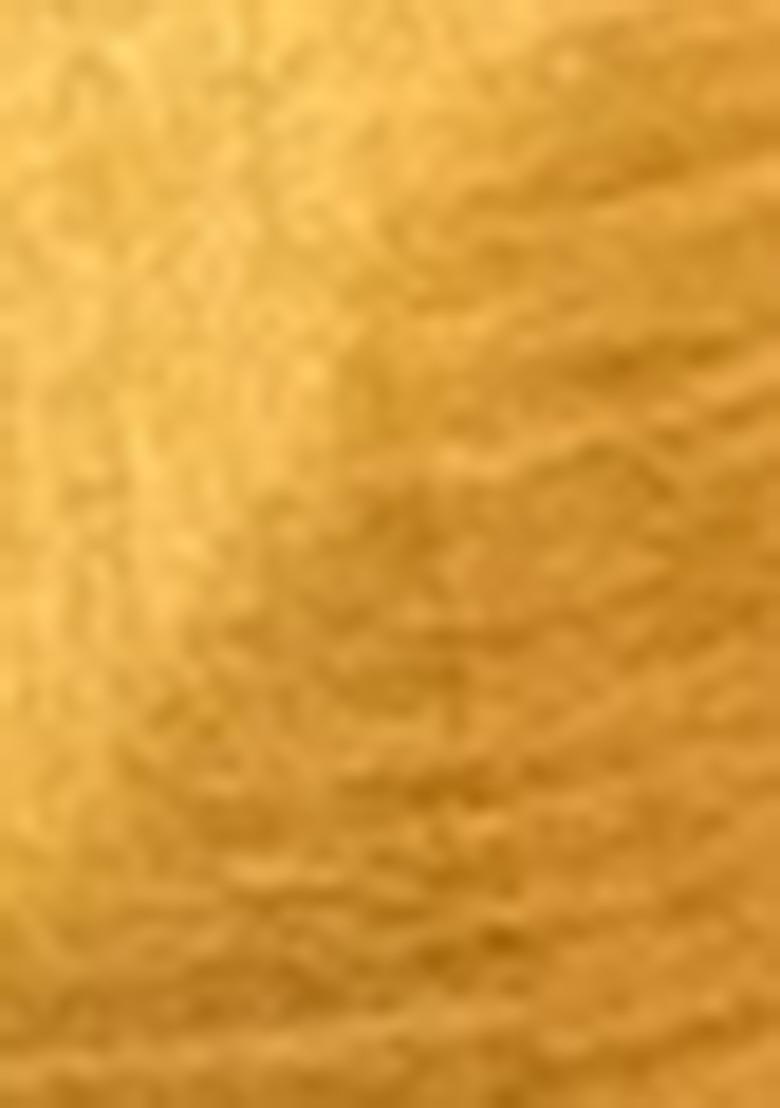 Golden Zari Tissue Silk Saree Set