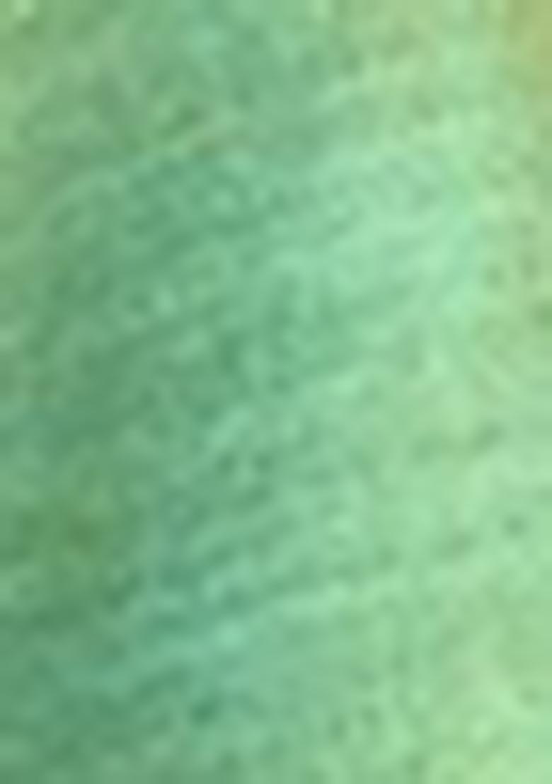 Green Zari Tissue Silk Saree Set