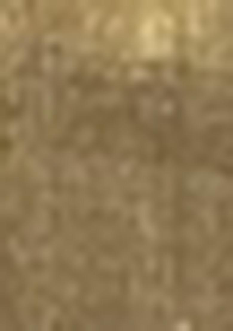 Mehandi Zari Tissue Silk Saree Set