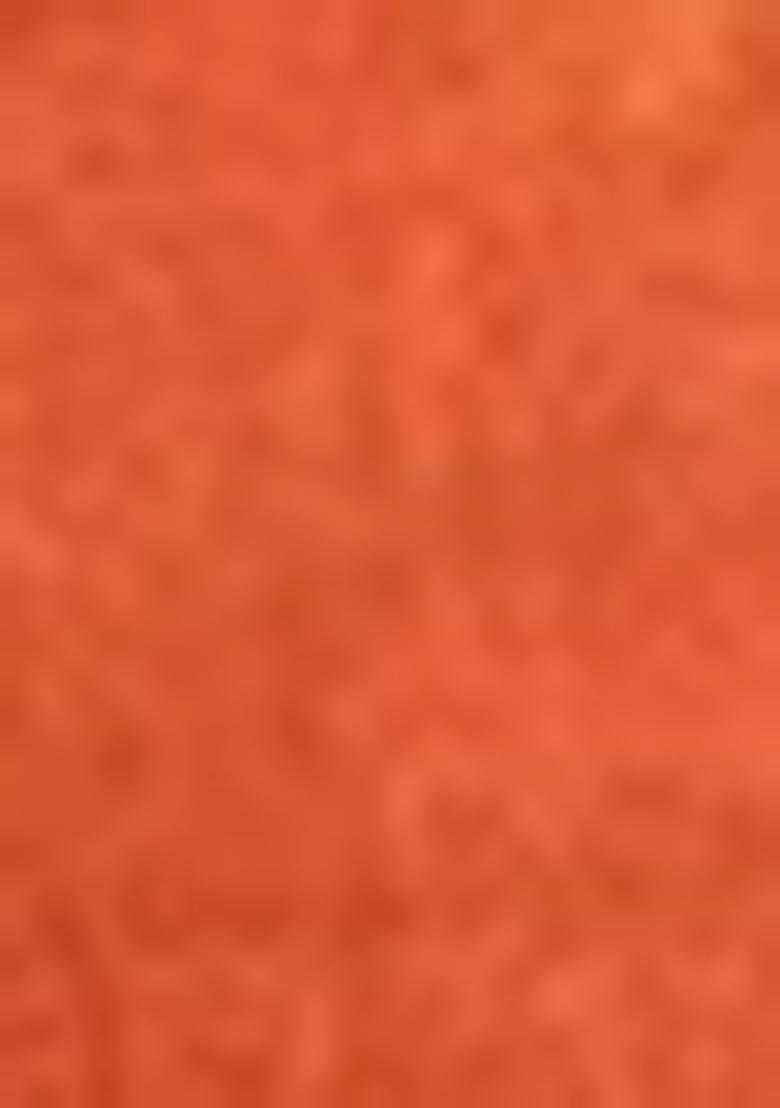 Orange Zari Tissue Silk Saree Set