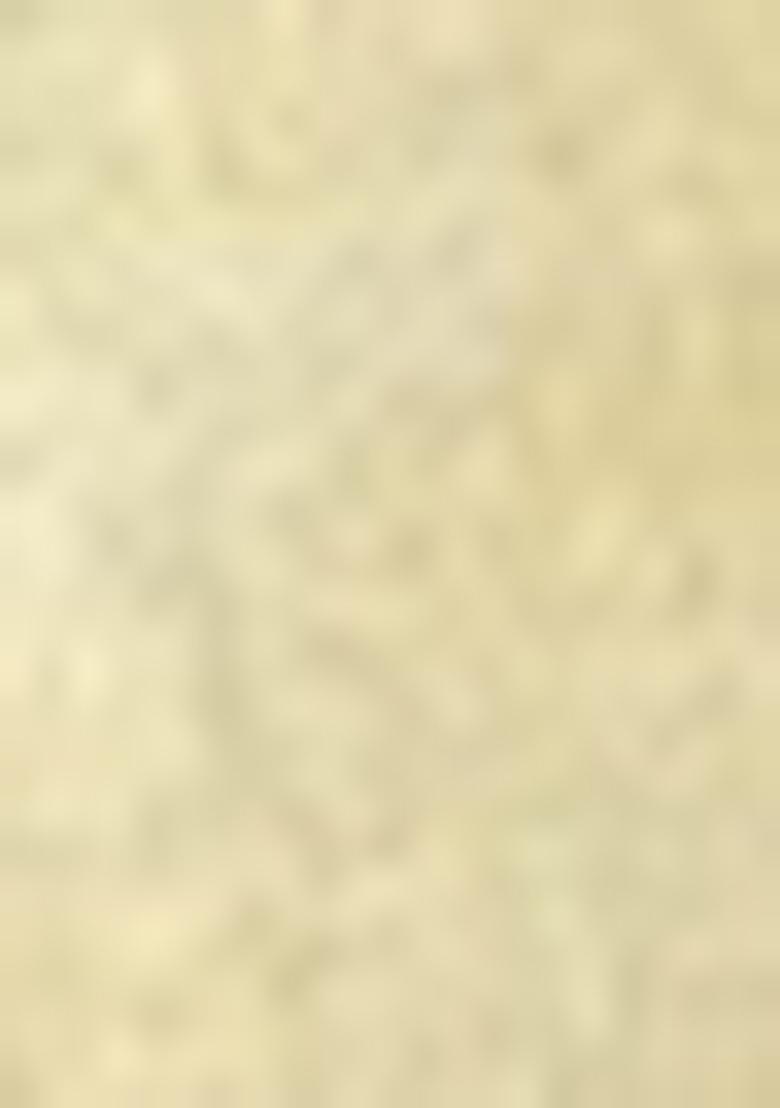 White Zari Tissue Silk Saree Set