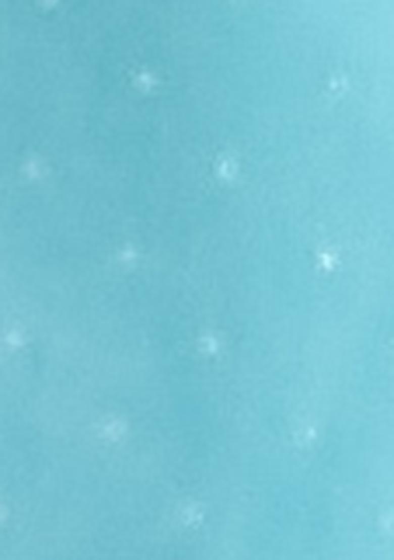 Sky Blue Embroidered Cotton Saree Set