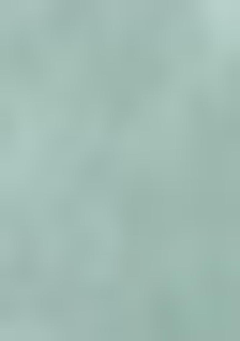 Pista Green Sequins Embroidered Georgette Saree Set