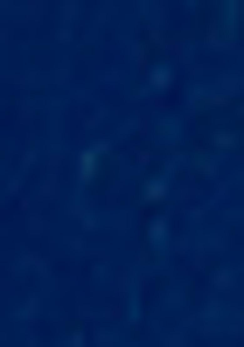 Navy Blue Zari Silk Saree Set