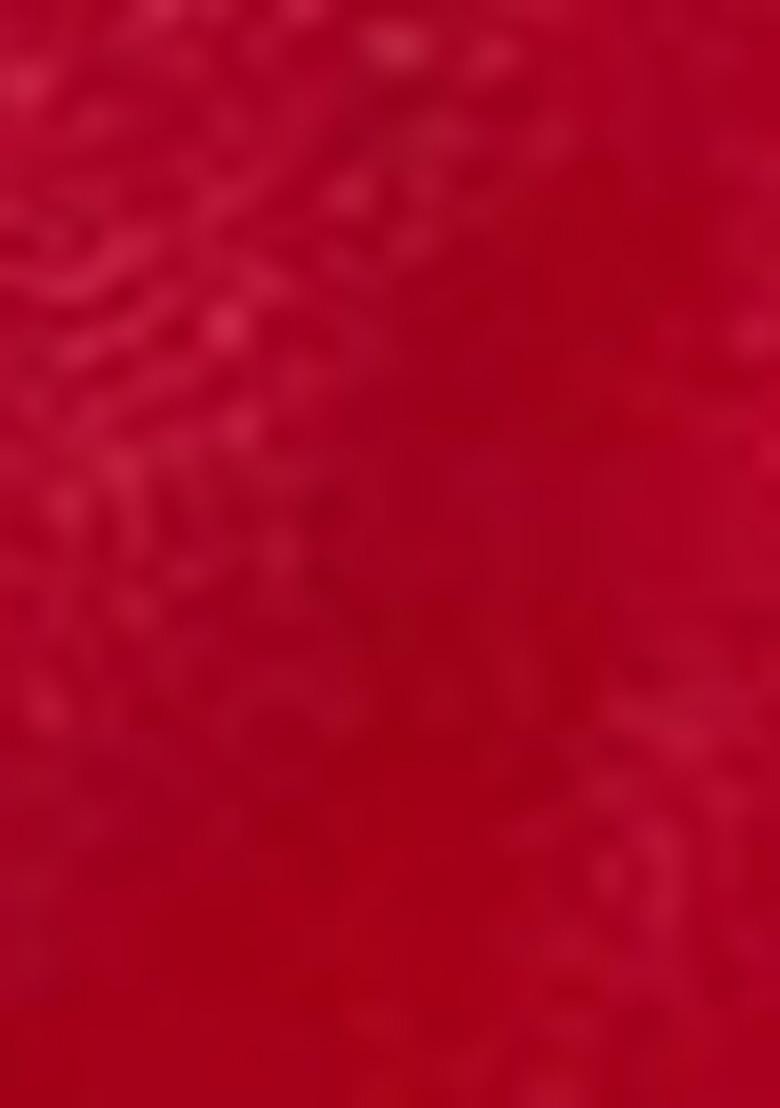 Red Embroidered Vichitra Saree Set