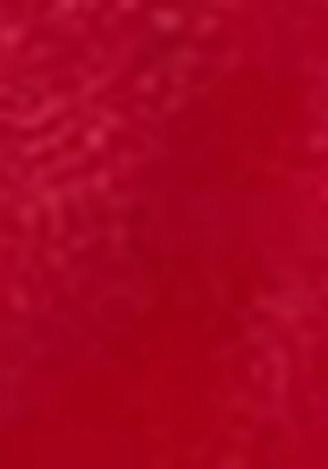 Red Embroidered Vichitra Saree Set