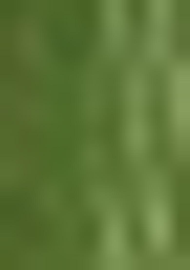 Green Weaving Tissue Saree Set