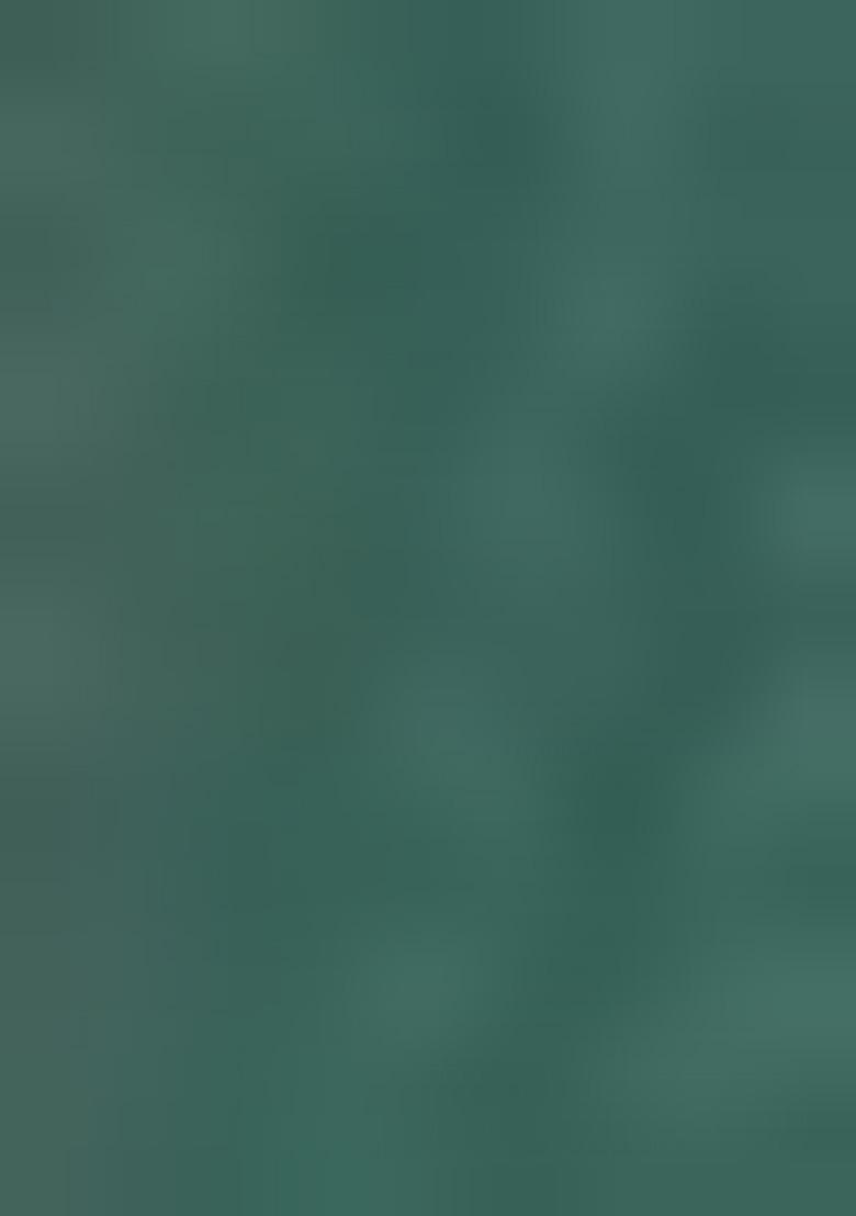 Pista Green  Weaving Tissue Saree Set