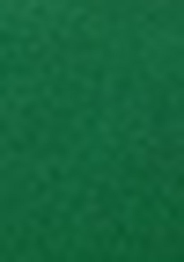 Green Weaving Silk Saree Set