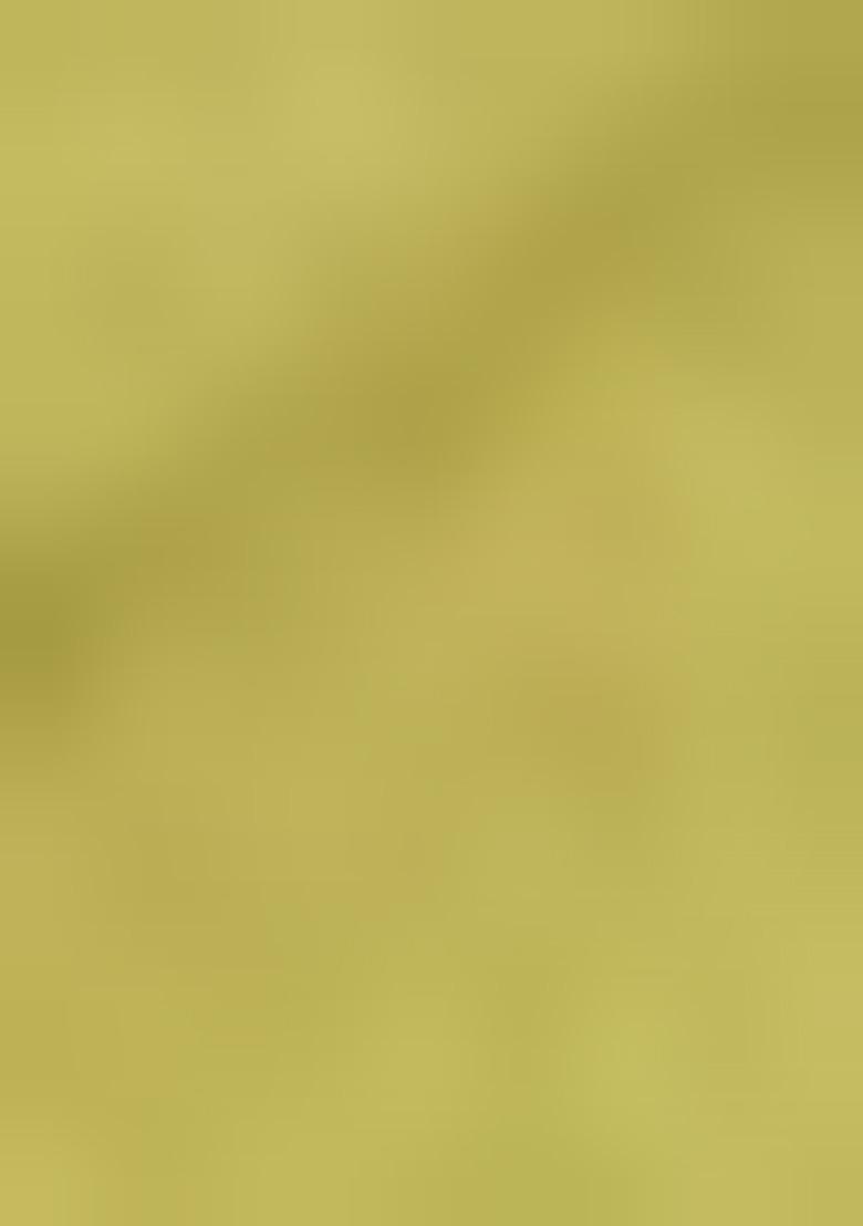 Lime Green Weaving Silk Saree Set