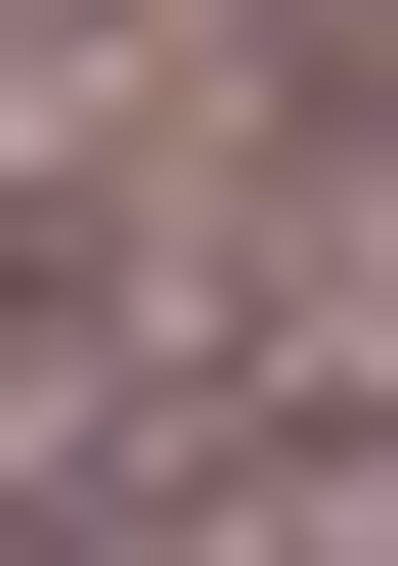 Lavender Weaving Tissue Saree Set