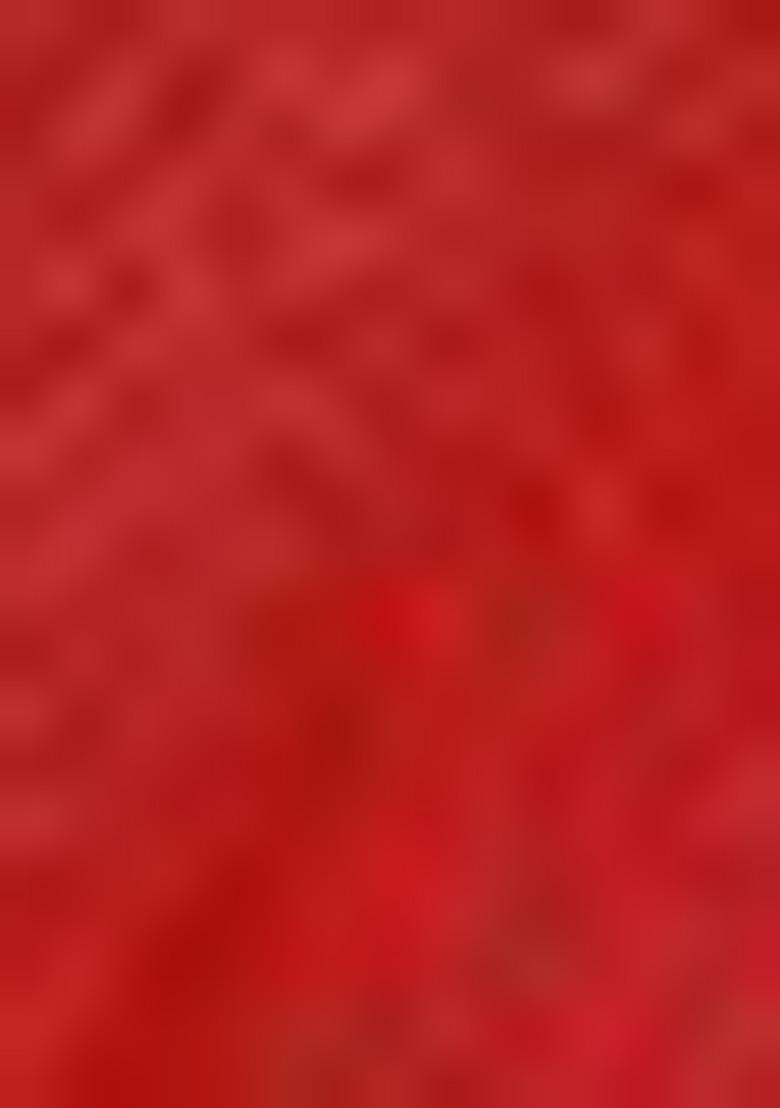 Rose  Weaving Tissue Saree Set