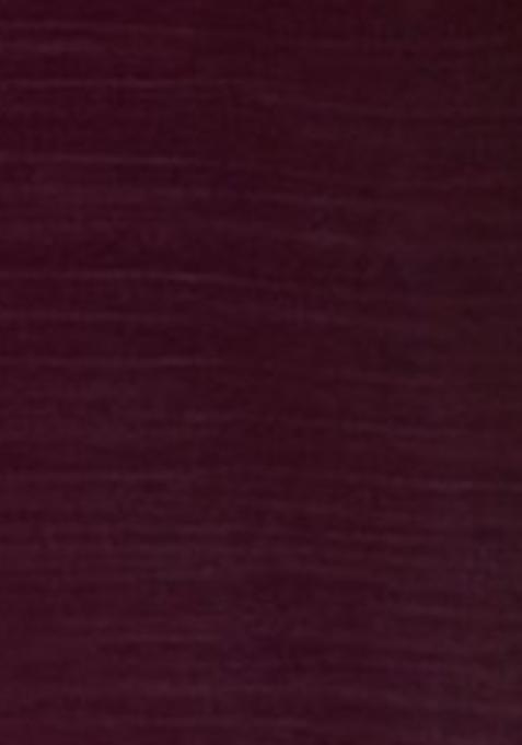 Wine Abstract Print Organza Saree Set