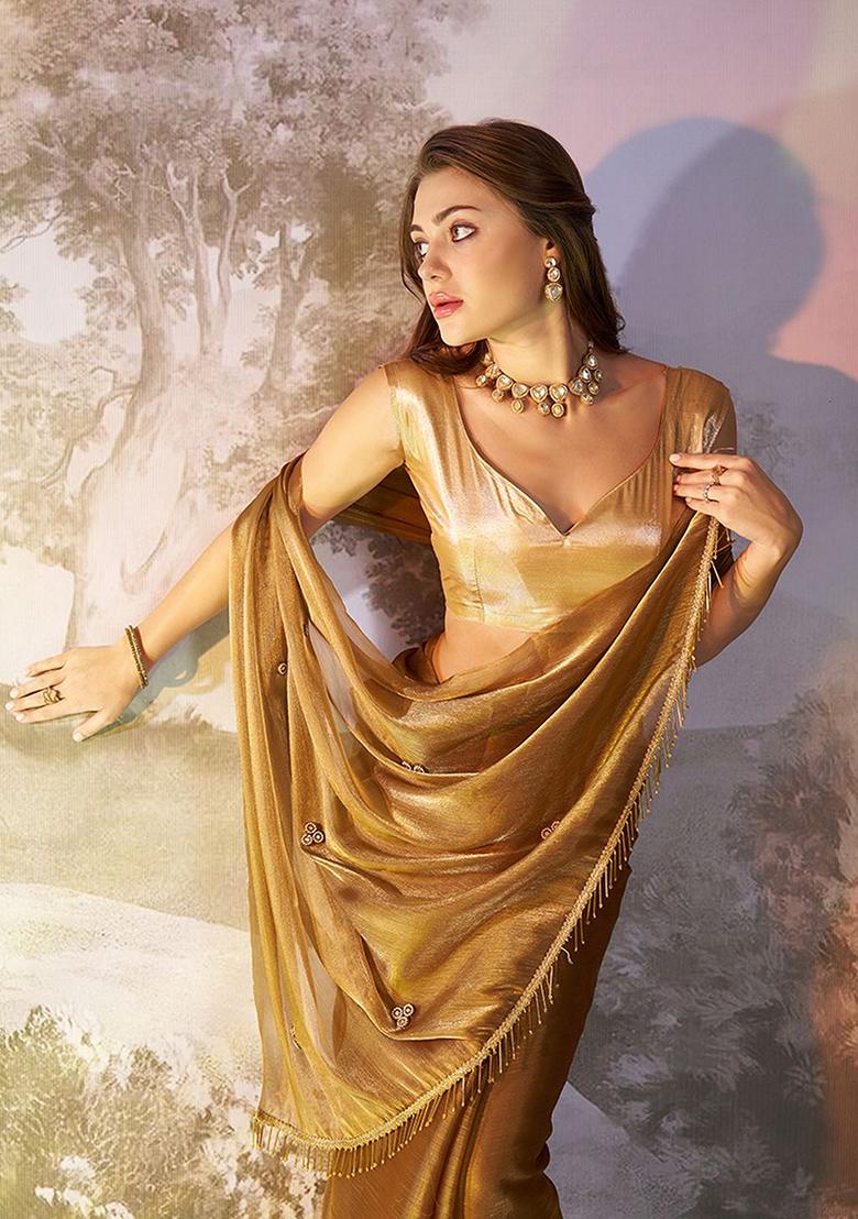 Brown Abstract Print Organza Saree Set