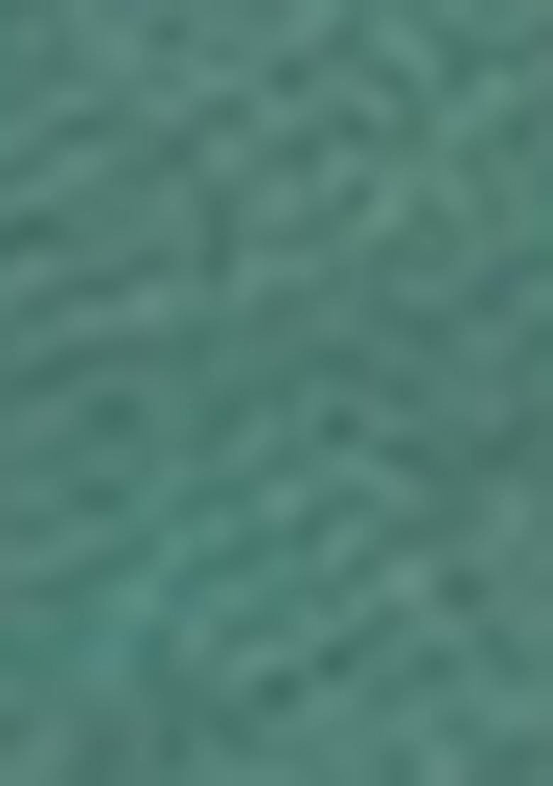 Sea Green Zari Woven Organza Saree Set