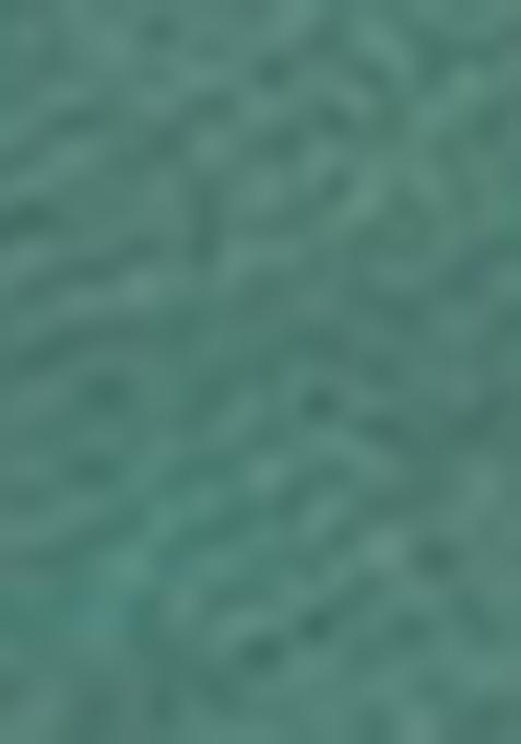 Sea Green Zari Woven Organza Saree Set