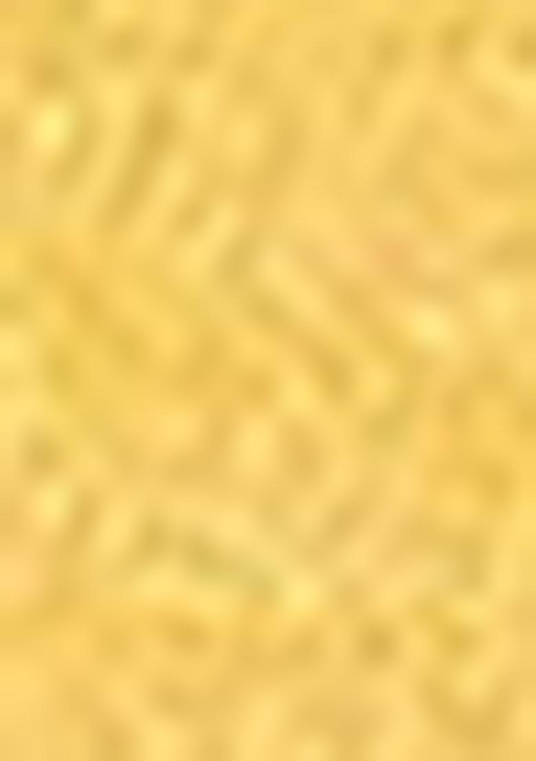 Yellow Zari Woven Organza Saree Set