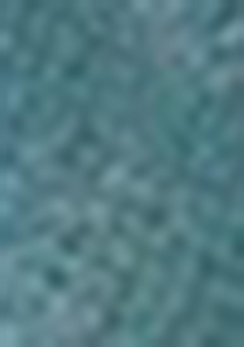 Sky Blue Zari Woven Organza Saree Set