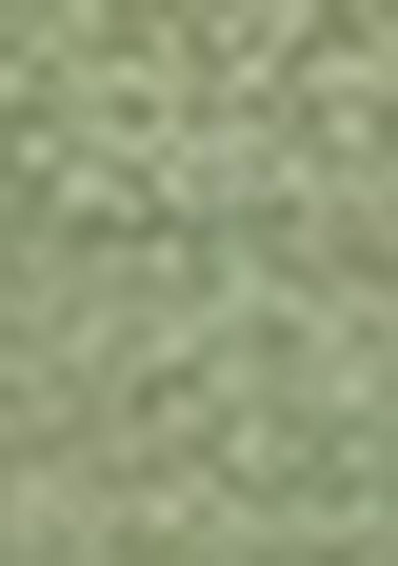 Green Zari Woven Organza Saree Set