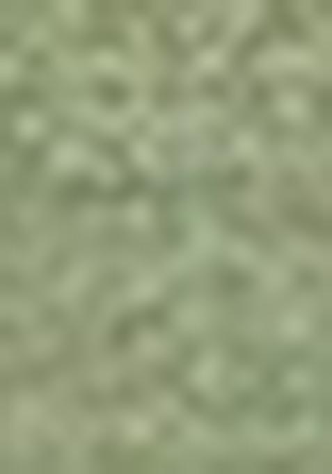 Green Zari Woven Organza Saree Set