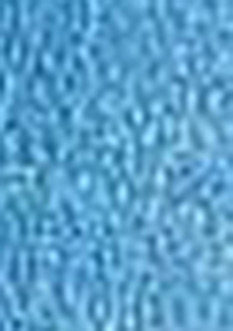 Blue Zari Woven Silk Saree Set