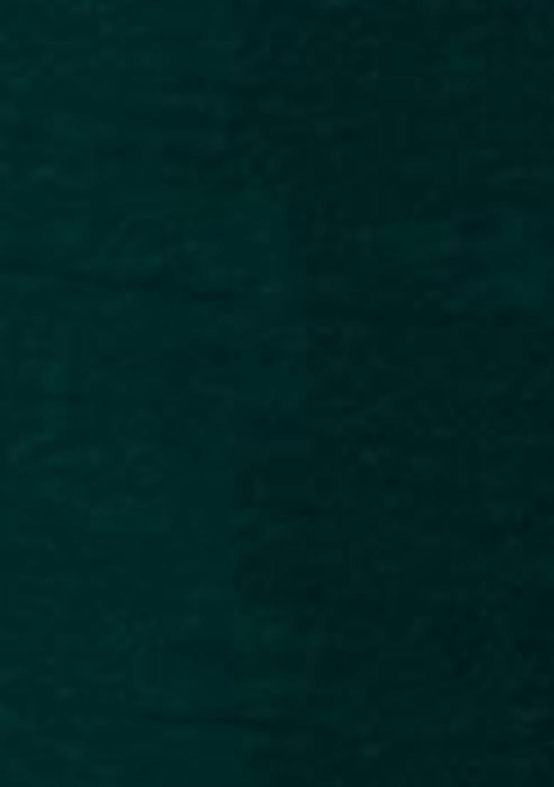 Green Abstract Print Art Silk Saree Set