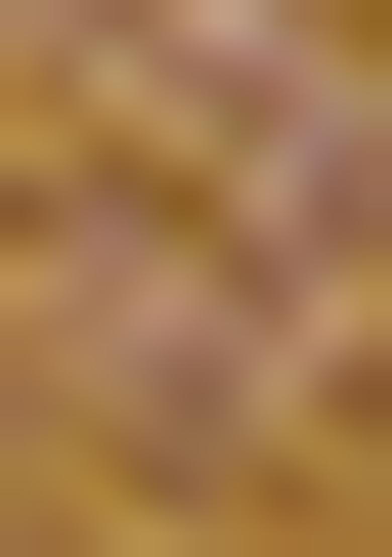 Brown Zari Woven Silk Saree Set