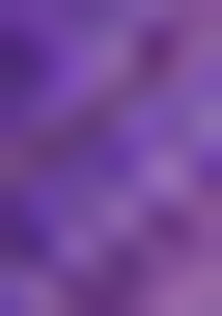 Lavender Zari Woven Silk Saree Set