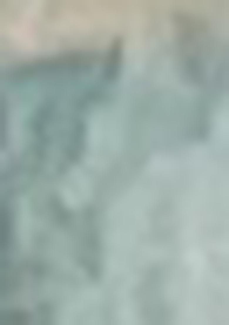 Green Abstract Print Chanderi Saree Set