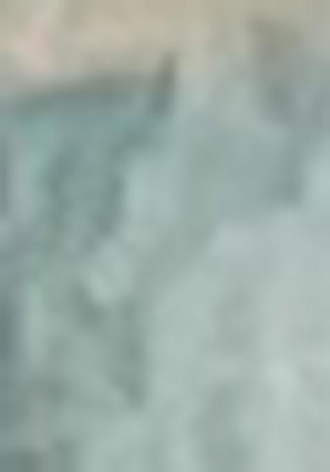 Green Abstract Print Chanderi Saree Set