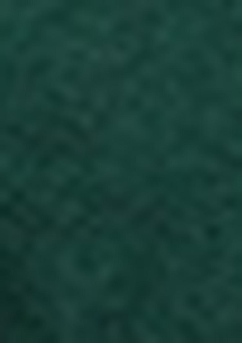 Green Zari Woven Silk Saree Set