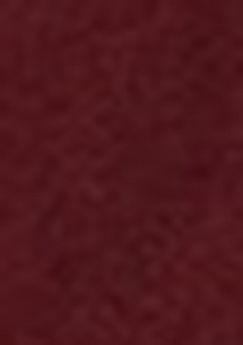 Maroon Zari Woven Silk Saree Set