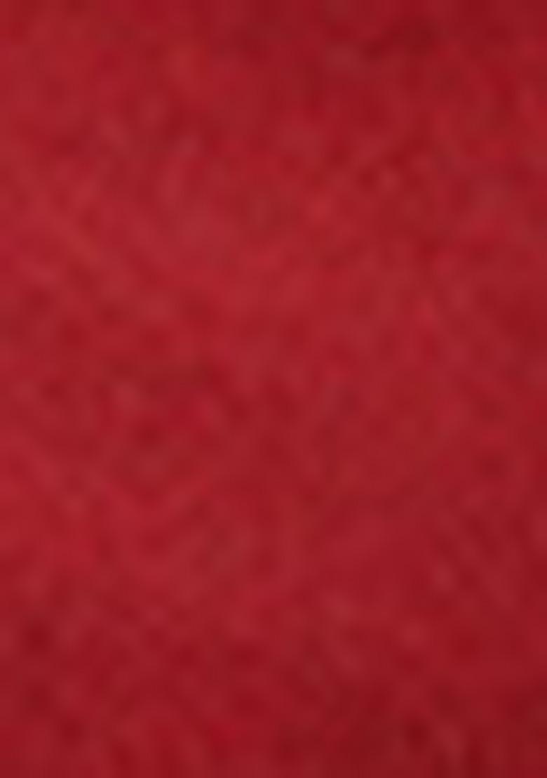 Red Zari Woven Silk Saree Set