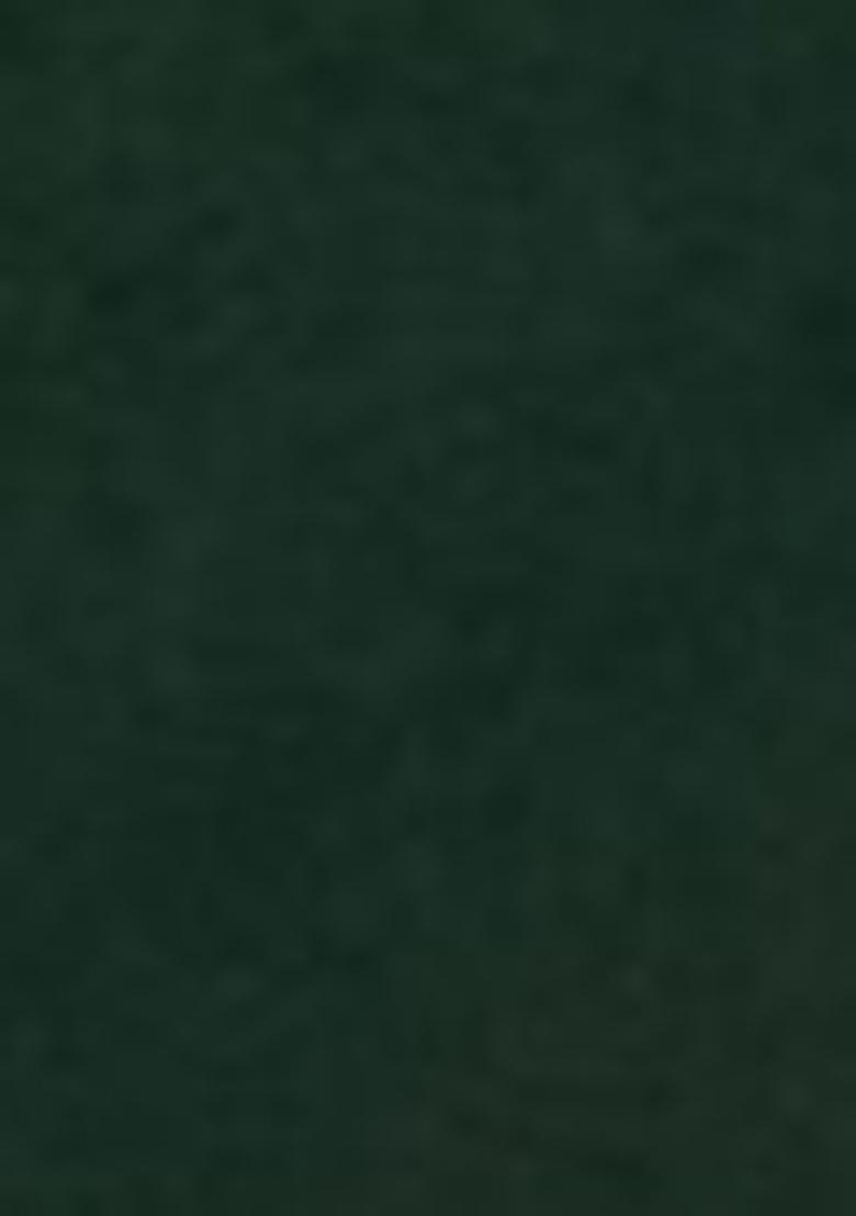 Green Zari Woven Silk Saree Set