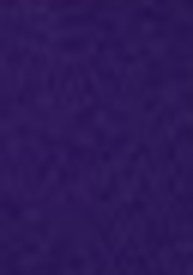 Violet Zari Woven Silk Saree Set