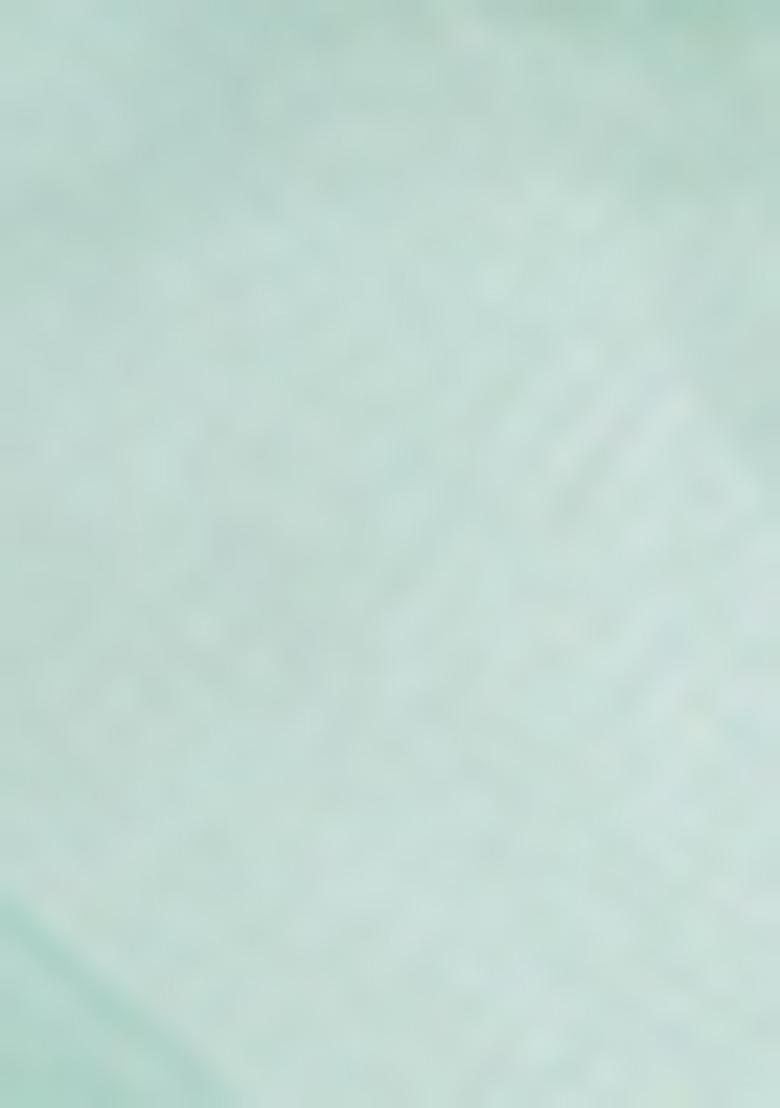 Sea Green Embroidered Net Saree Set