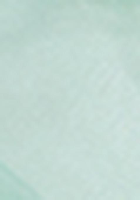 Sea Green Embroidered Net Saree Set