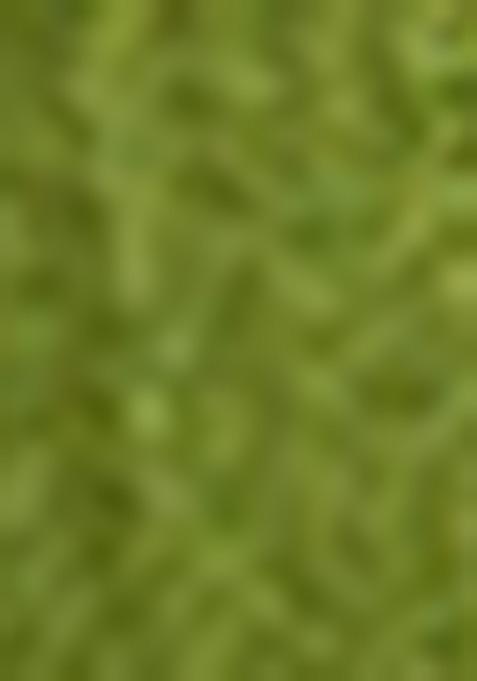 Green Bandhani Art Silk Saree Set