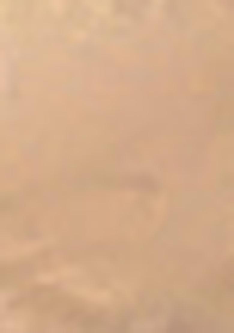 Blue Abstract Print Cotton Saree Set