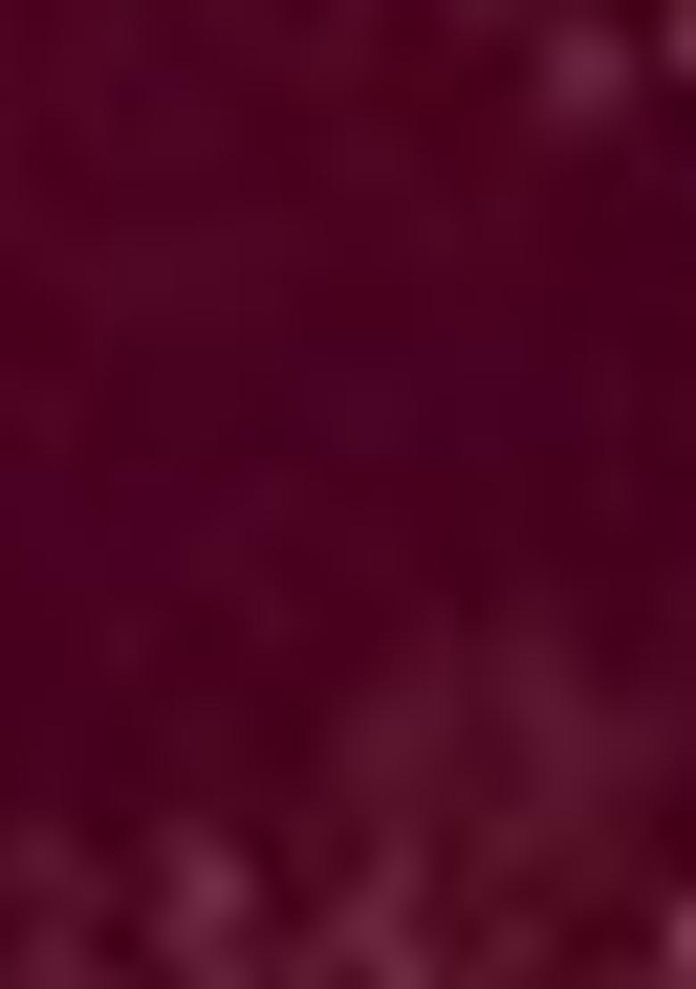 Wine Zari Woven Georgette Saree Set