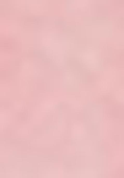 Peach Zari Woven Silk Saree Set