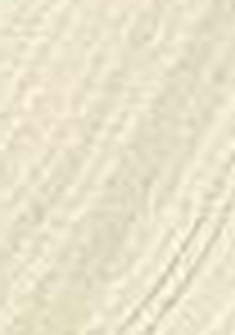 Off White Zari Work Georgette Saree Set